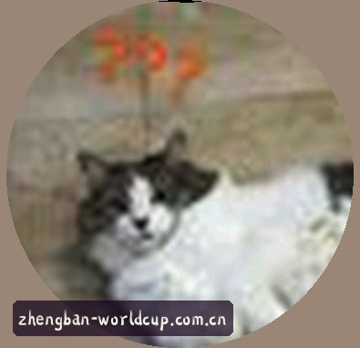 李娜